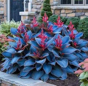 Хоста Грин Фог купить по цене от 669р. в интернет-магазине «Посадика» с доставкой почтой в в Курчалойе и по всей России – [изображение №1].