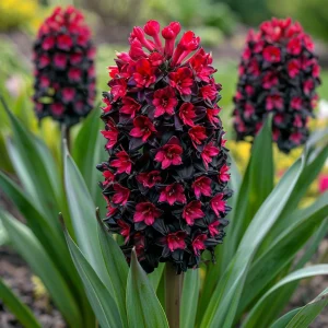 Гиацинт Джем Стоун купить по цене от 2099р. в интернет-магазине «Посадика» с доставкой почтой в в Курчалойе и по всей России – [изображение №1].