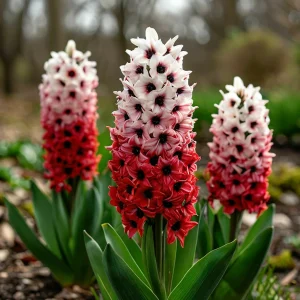 Гиацинт Скай Гарден купить по цене от 2099р. в интернет-магазине «Посадика» с доставкой почтой в в Курчалойе и по всей России – [изображение №1].